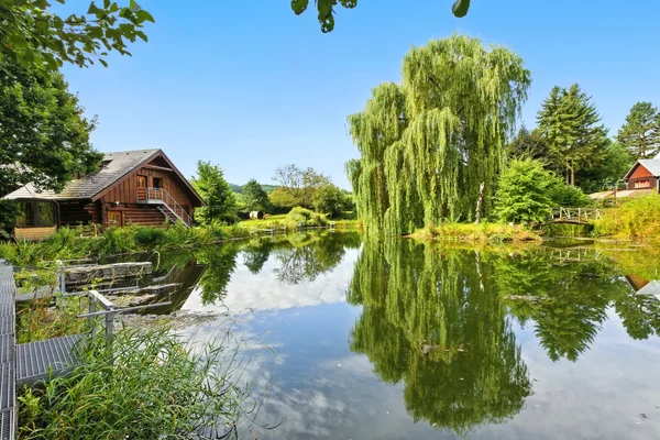 Virtualni zapad slunce - Celina